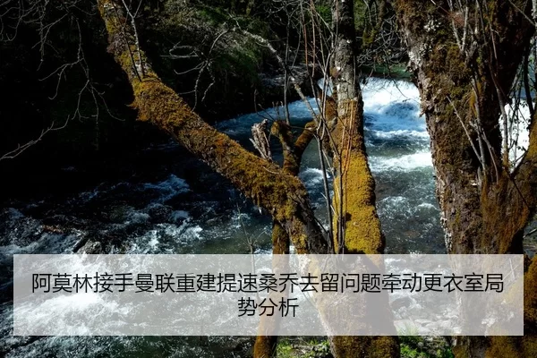 阿莫林接手曼联重建提速桑乔去留问题牵动更衣室局势分析