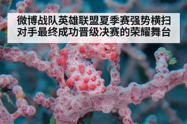 微博战队英雄联盟夏季赛强势横扫对手最终成功晋级决赛的荣耀舞台